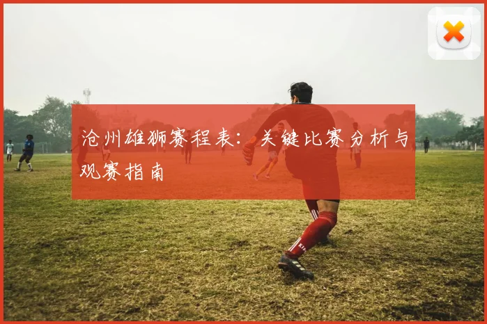 沧州雄狮赛程表:关键比赛分析与观赛指南